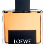 Loewe Solo Sport Inspiración LH
